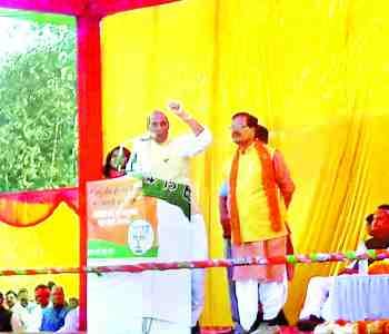 BSP's elephant eats money