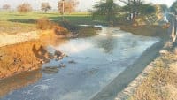 fatehabad, minor, braked, water in farms,  harayana