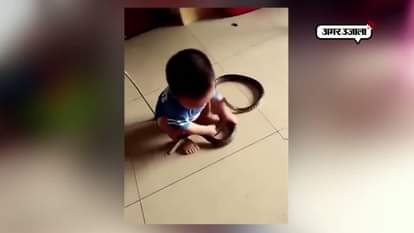 A small child plays with a live snake like a toy