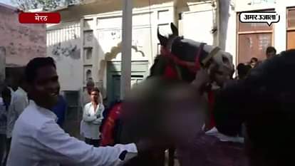DRUNK HORSE DANCE AT MEERUT 