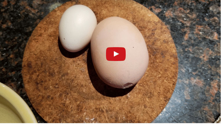 It is hard to believe what comes out from this huge egg. 
