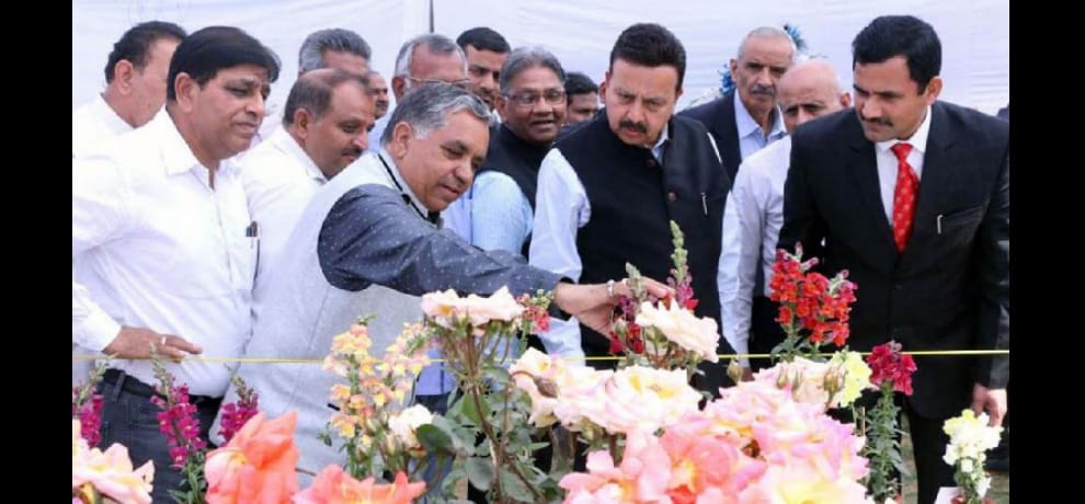 Here, Flower Lover watched more than 1000 varieties of flowers 