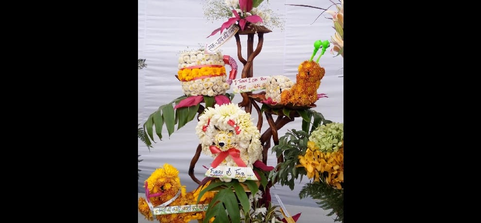 Here, Flower Lover watched more than 1000 varieties of flowers 