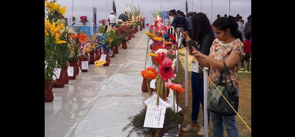 Here, Flower Lover watched more than 1000 varieties of flowers 