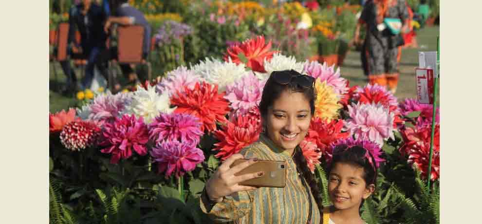 plants which reduces pollution are limelight of flower show in noida