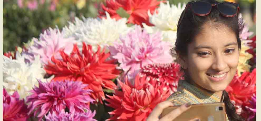 plants which reduces pollution are limelight of flower show in noida