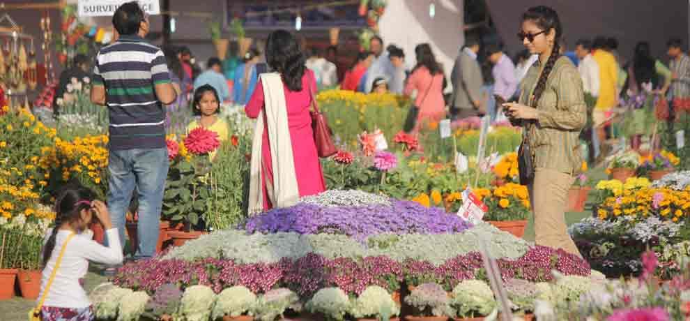 plants which reduces pollution are limelight of flower show in noida