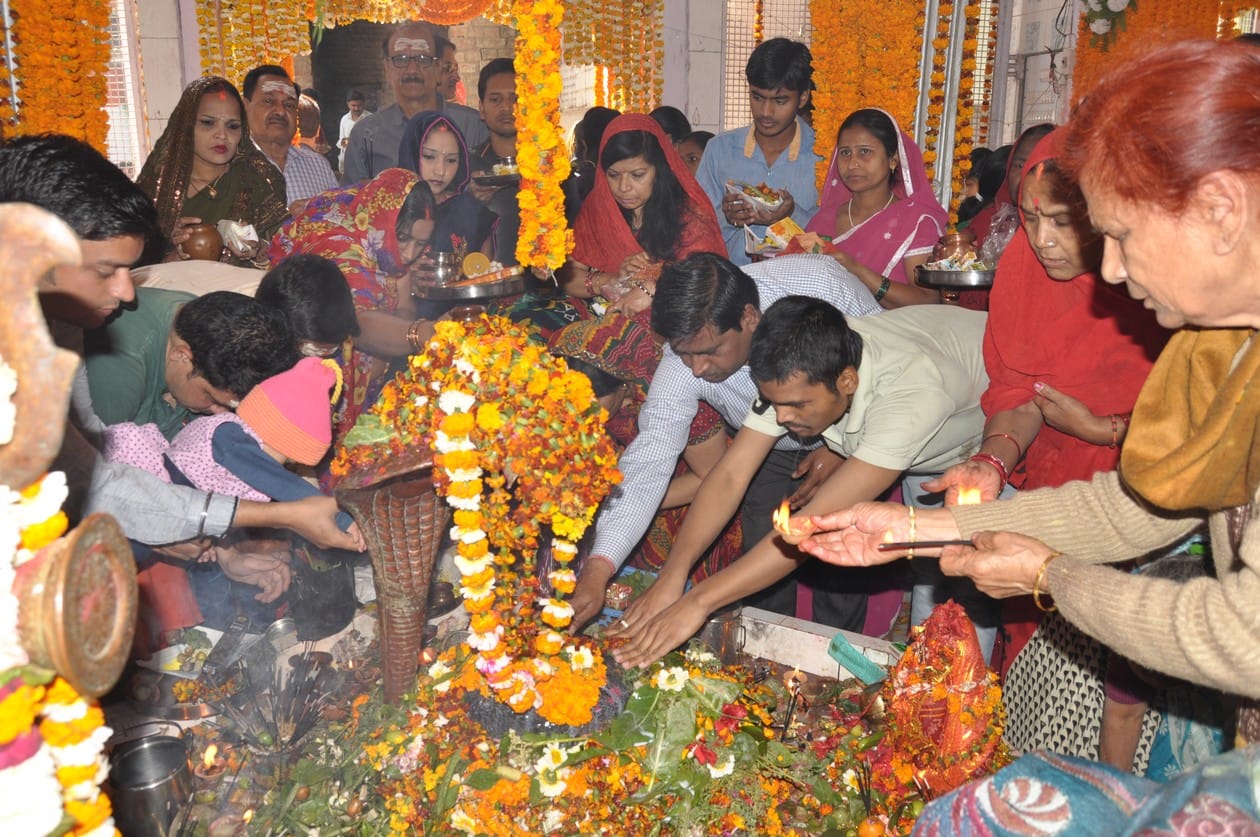 Maha shivaratri festival celebration on Thursday special news