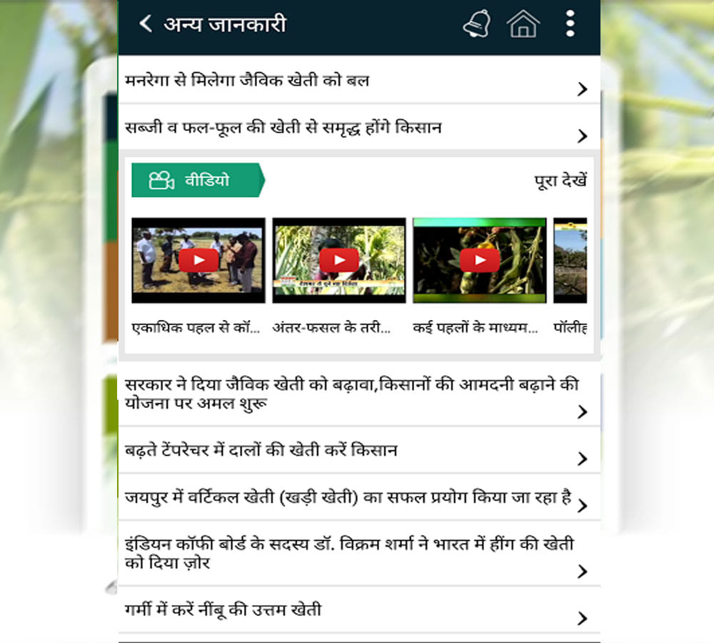 माय एग्री गुरु