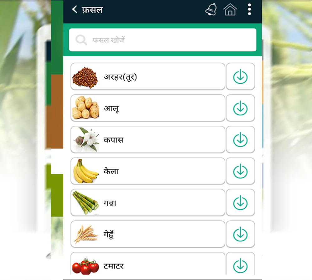 माय एग्री गुरु