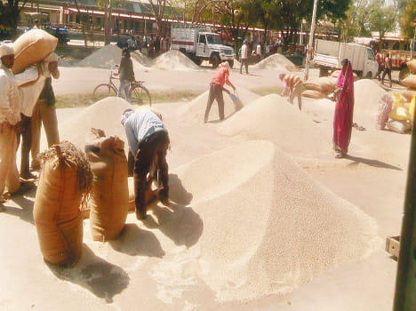 Mandi was acquired by the trade shock