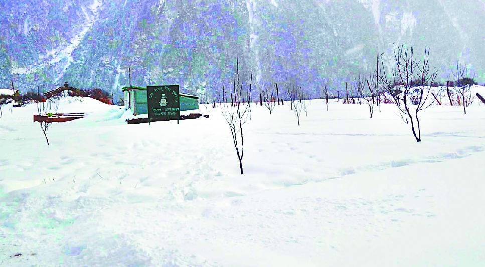 Apple expected to produce heavy snow