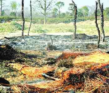 five houses burned to fire