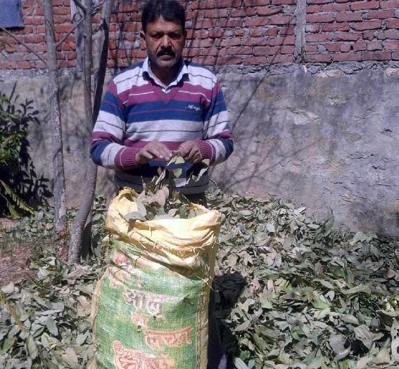 Created sage source of livelihood