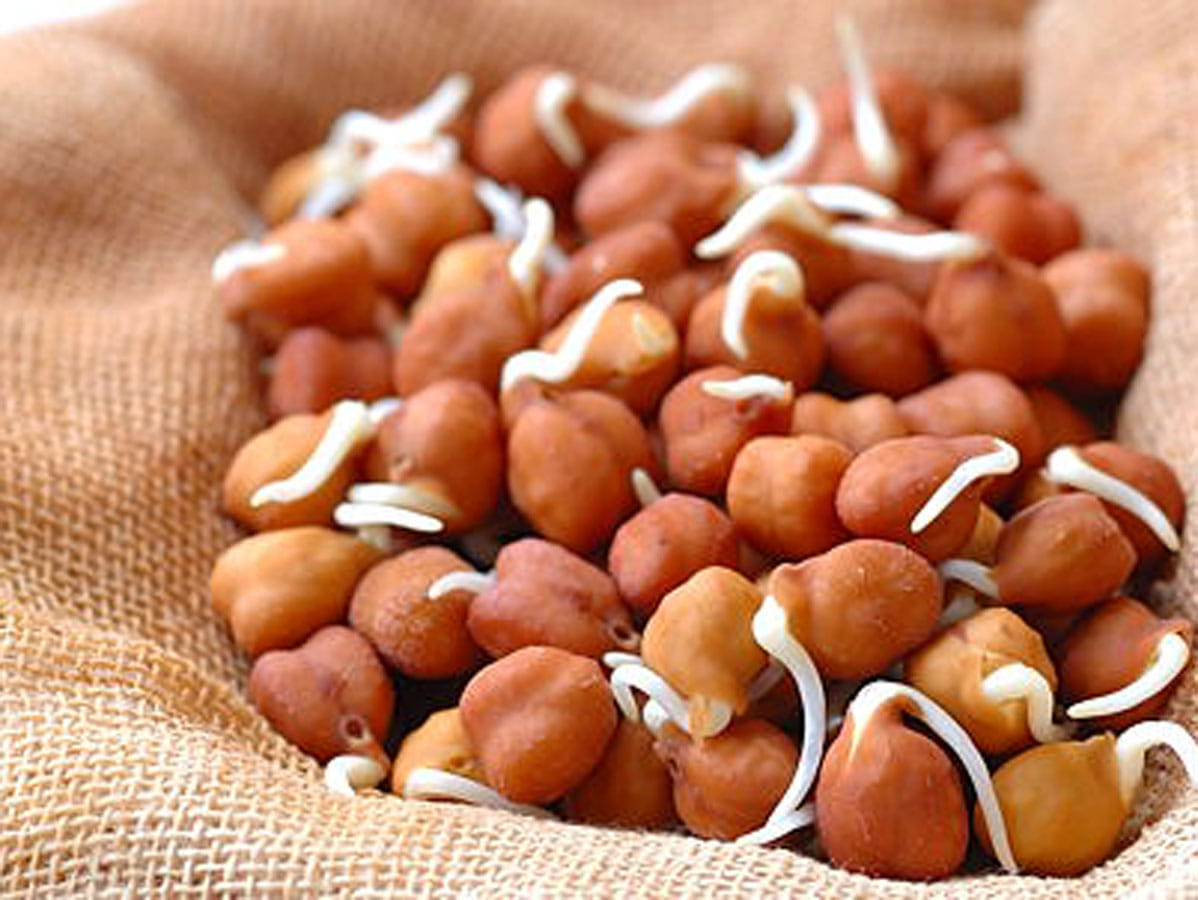 Foods You Can Eat a Lot of Without Gaining Weight Know Their Benefits in HIndi