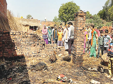 hut caught fire, 3 goats died