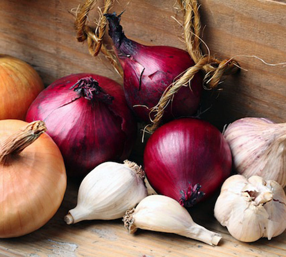 onion and garlic are beneficial for a good sleep 
