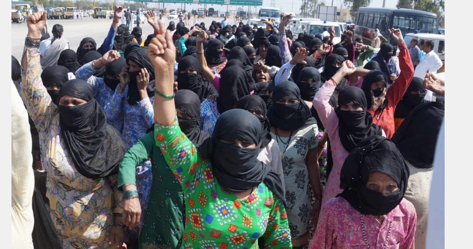 Observed black day by wearing black clothes Jats, jhajjar news