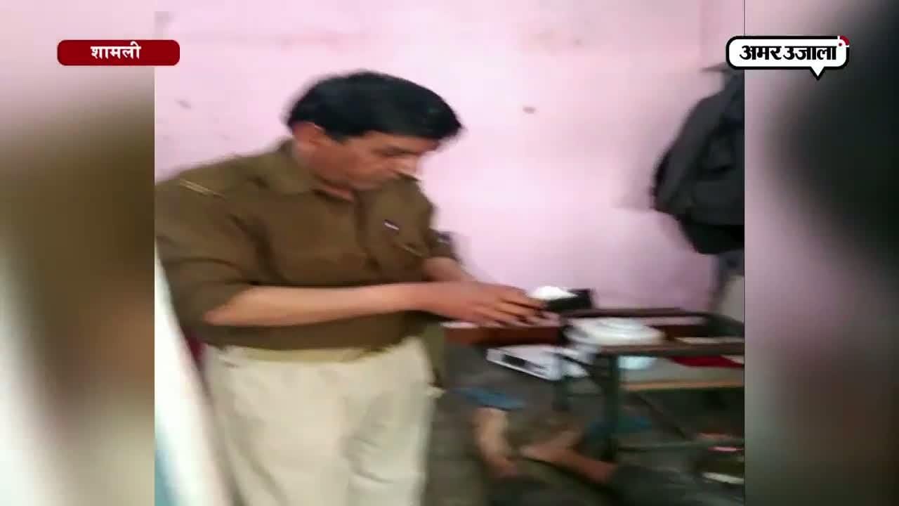 शामली 