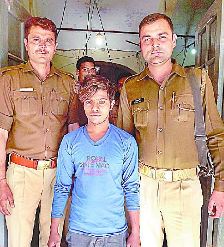 Sampla recovered four of its progeny, one arrested