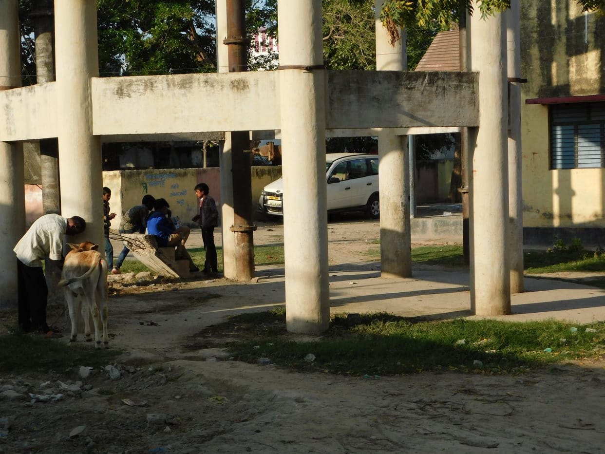 peyajal tankiyon ke aasapaas pasaree gandagee