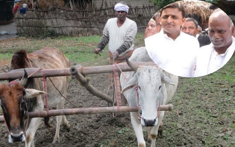 up mla bansidhar baudh lives simple life style