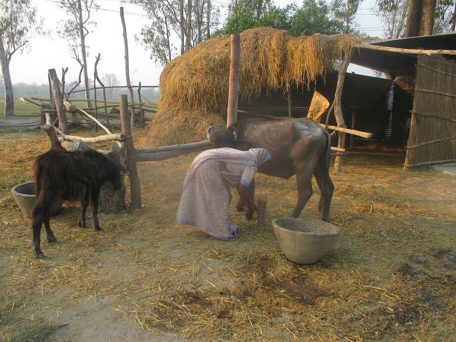 up mla bansidhar baudh lives simple life style