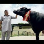 9.26 millon of Yuvraj drinks 29 liters milk and eats 1o kg fruits in a day