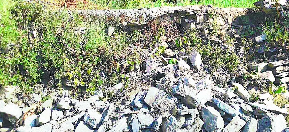 8 hectares of water await Bansbgd