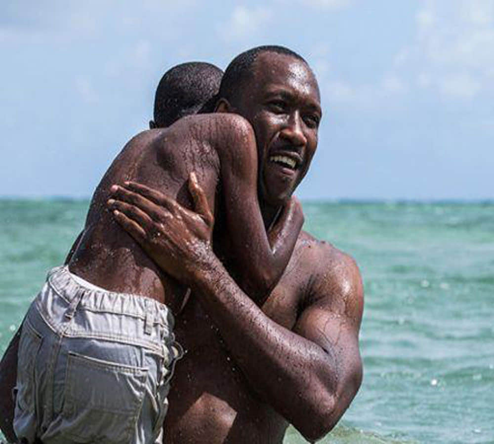 oscar 2017 winner films story line