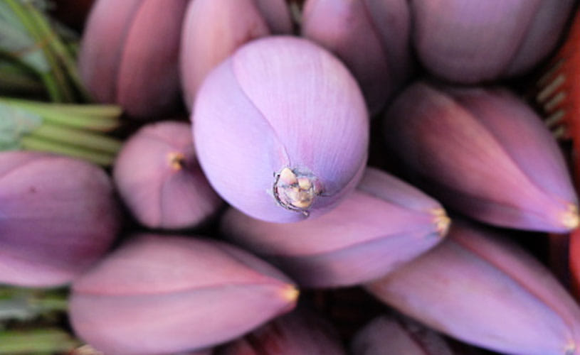 benefits of Banana Flower