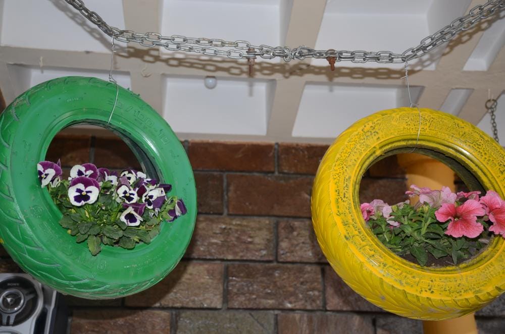 plantation on puncher tire and pipe