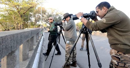 After 6 years of migratory birds counted on Sukhna Lake