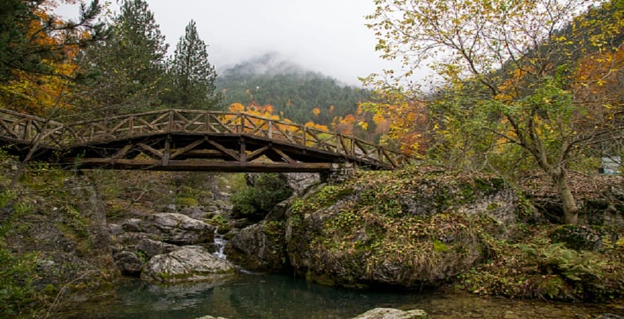 people of Fifty villages Build the bridge in rampur 