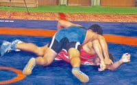 grico roman, cdlu and in free style, kuk co winer