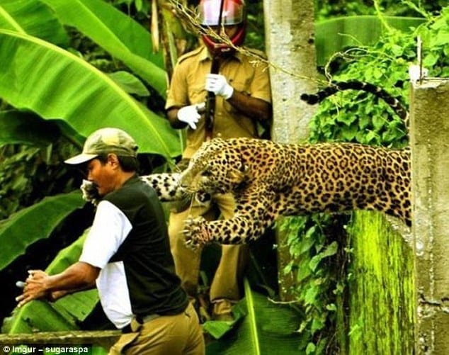 photos from around the world capture the moment JUST before impact 