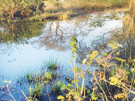 Thousands of liters of waste water pipe bursts