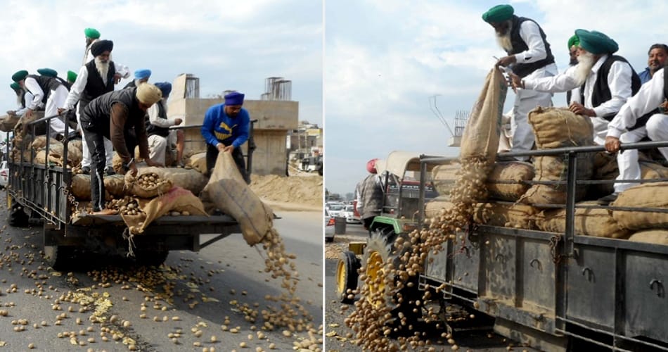 Vegetable king potato throws on road, punjab jalandhar news