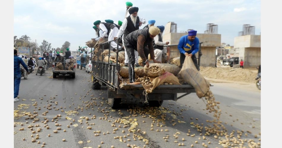 Vegetable king potato throws on road, punjab jalandhar news