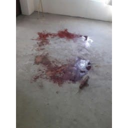 panipat, acuse, wife, husband, murderer, who, kill, whome, mystr 