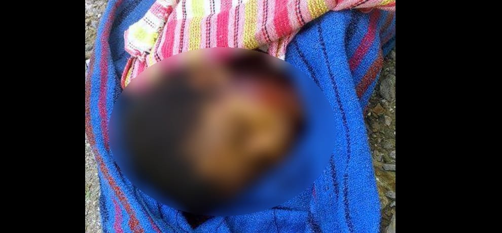 neck cut in meerut roadways bus collide