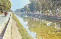 585 million, spent, irrigation, water, does not reach, jind