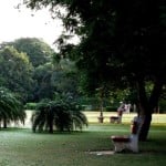 chandigarh parks