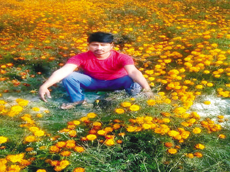 Marigold flowers changed the fate of farmers