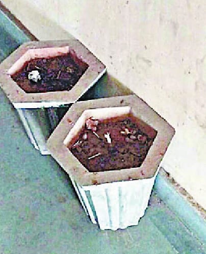The development will house a fine of Rs 500 on the mess