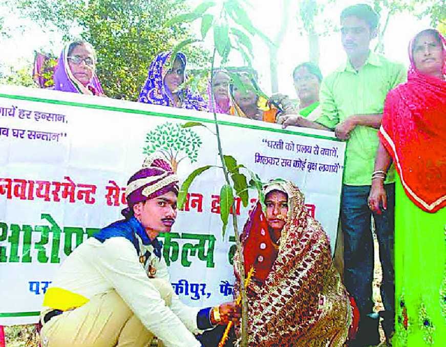 During wedding bride groom planted saplings