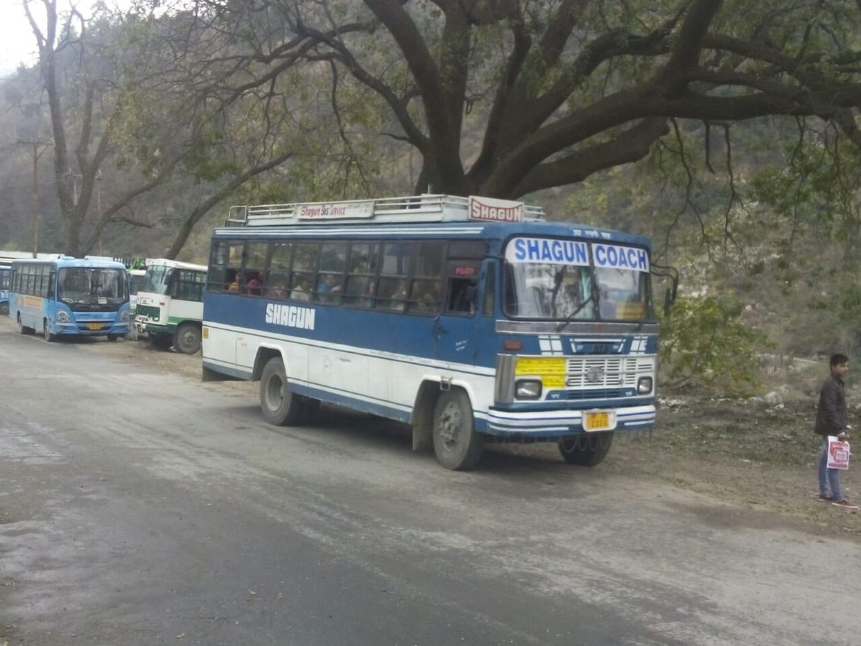 three buses bond