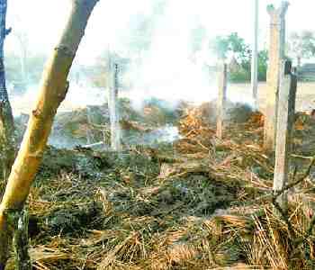 six houses and accessories burned to the fire