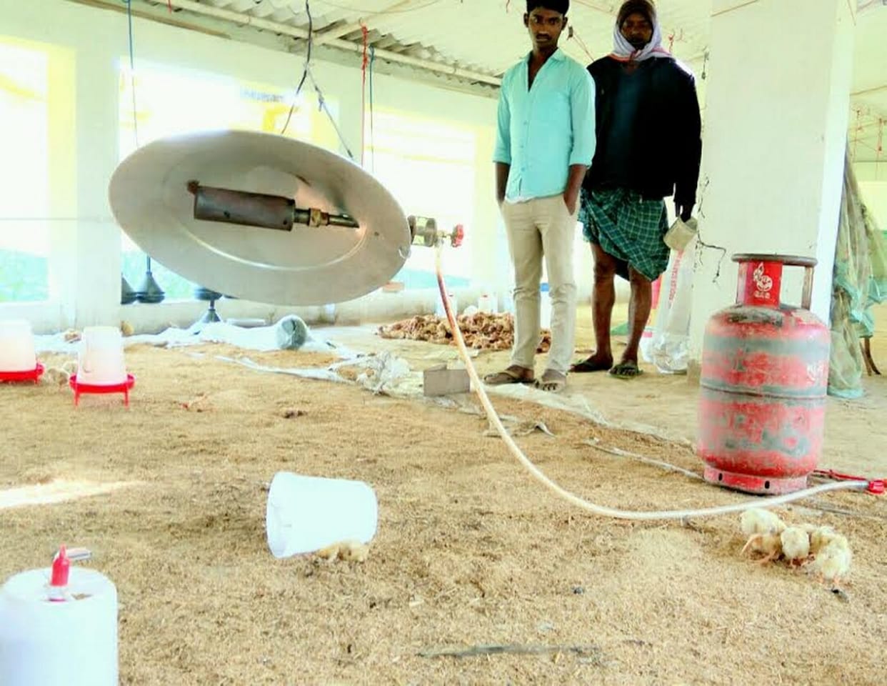  Poultry farm fire, four scorched