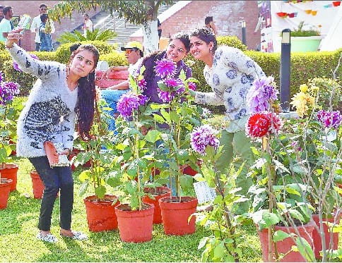 GJU hisar, flower exibition, Hisar